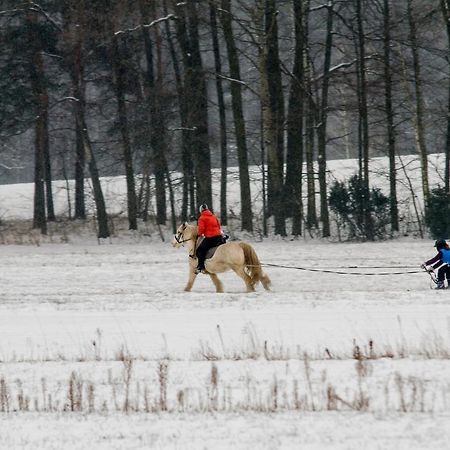 Kolorowe Wzgorze Agroturystyka I Konie Trojanow Bagian luar foto