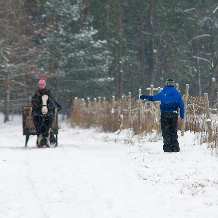 Kolorowe Wzgorze Agroturystyka I Konie Trojanow Bagian luar foto