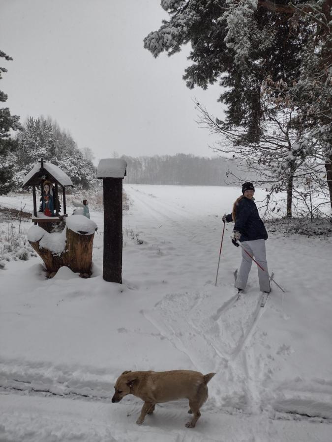 Kolorowe Wzgorze Agroturystyka I Konie Trojanow Bagian luar foto