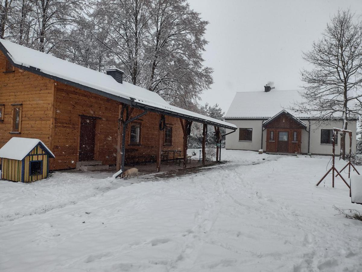 Kolorowe Wzgorze Agroturystyka I Konie Trojanow Bagian luar foto