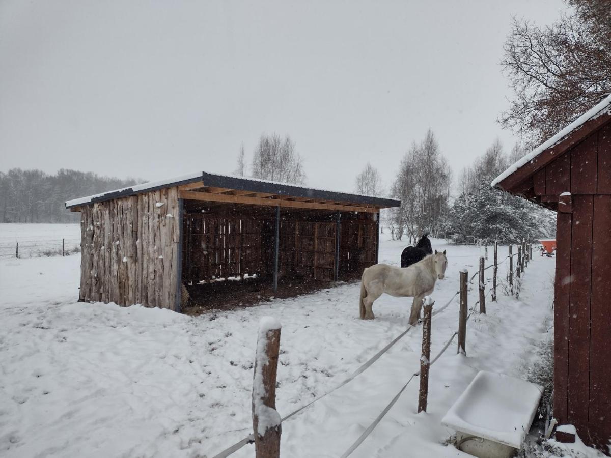 Kolorowe Wzgorze Agroturystyka I Konie Trojanow Bagian luar foto
