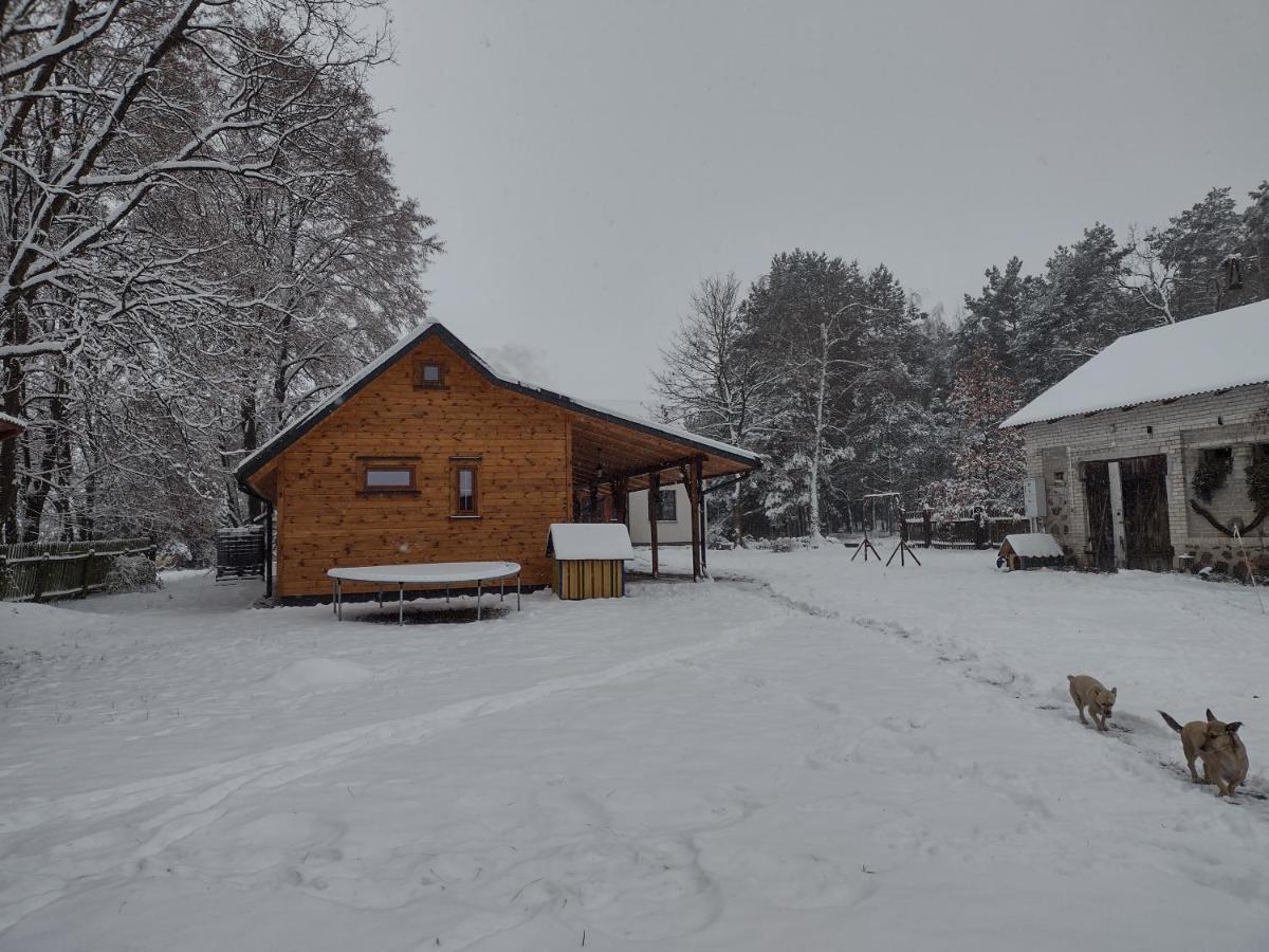 Kolorowe Wzgorze Agroturystyka I Konie Trojanow Bagian luar foto