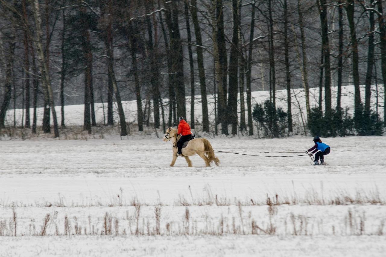 Kolorowe Wzgorze Agroturystyka I Konie Trojanow Bagian luar foto