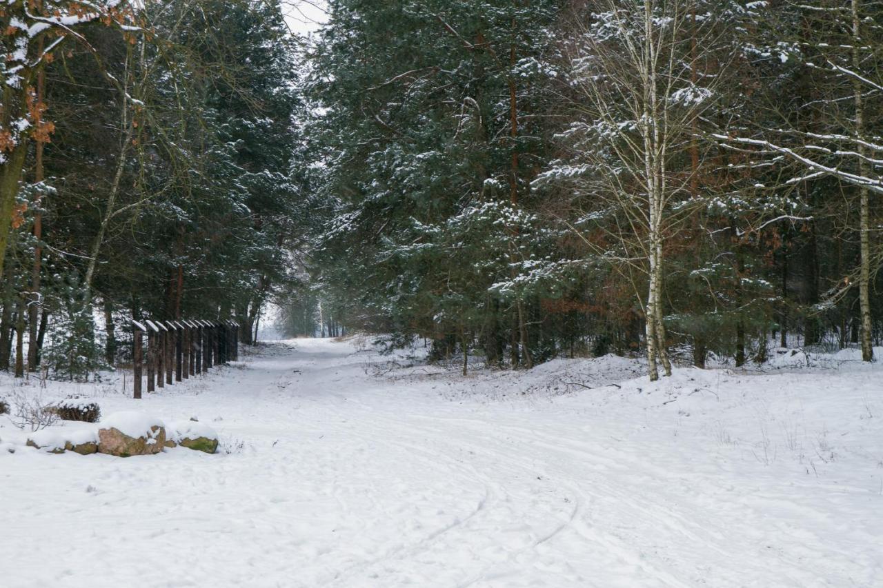 Kolorowe Wzgorze Agroturystyka I Konie Trojanow Bagian luar foto