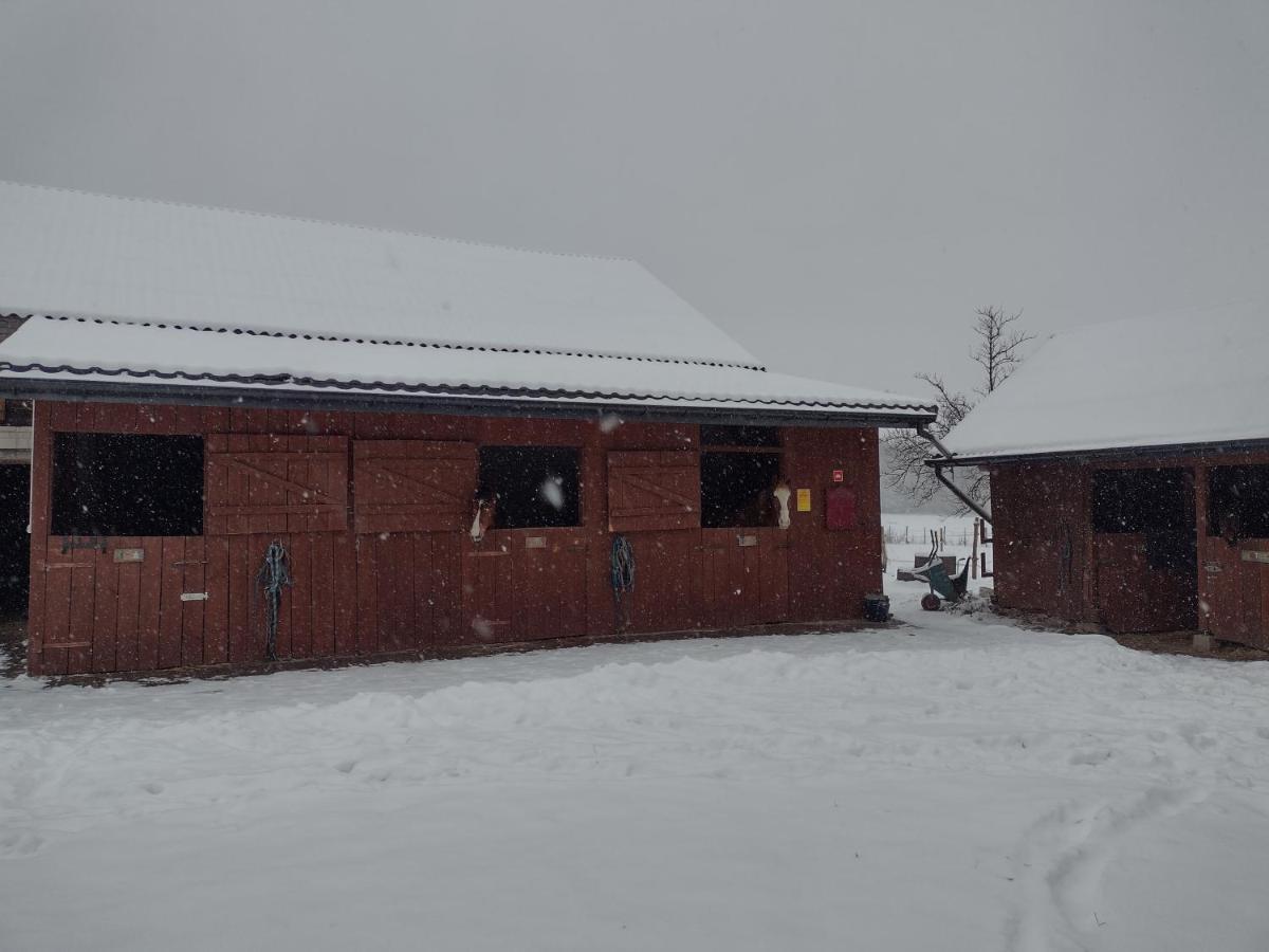 Kolorowe Wzgorze Agroturystyka I Konie Trojanow Bagian luar foto