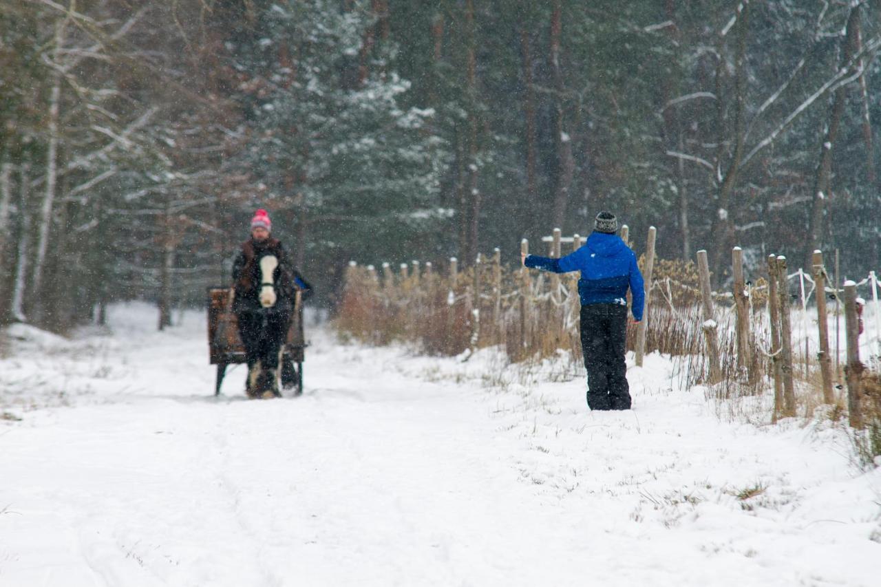 Kolorowe Wzgorze Agroturystyka I Konie Trojanow Bagian luar foto