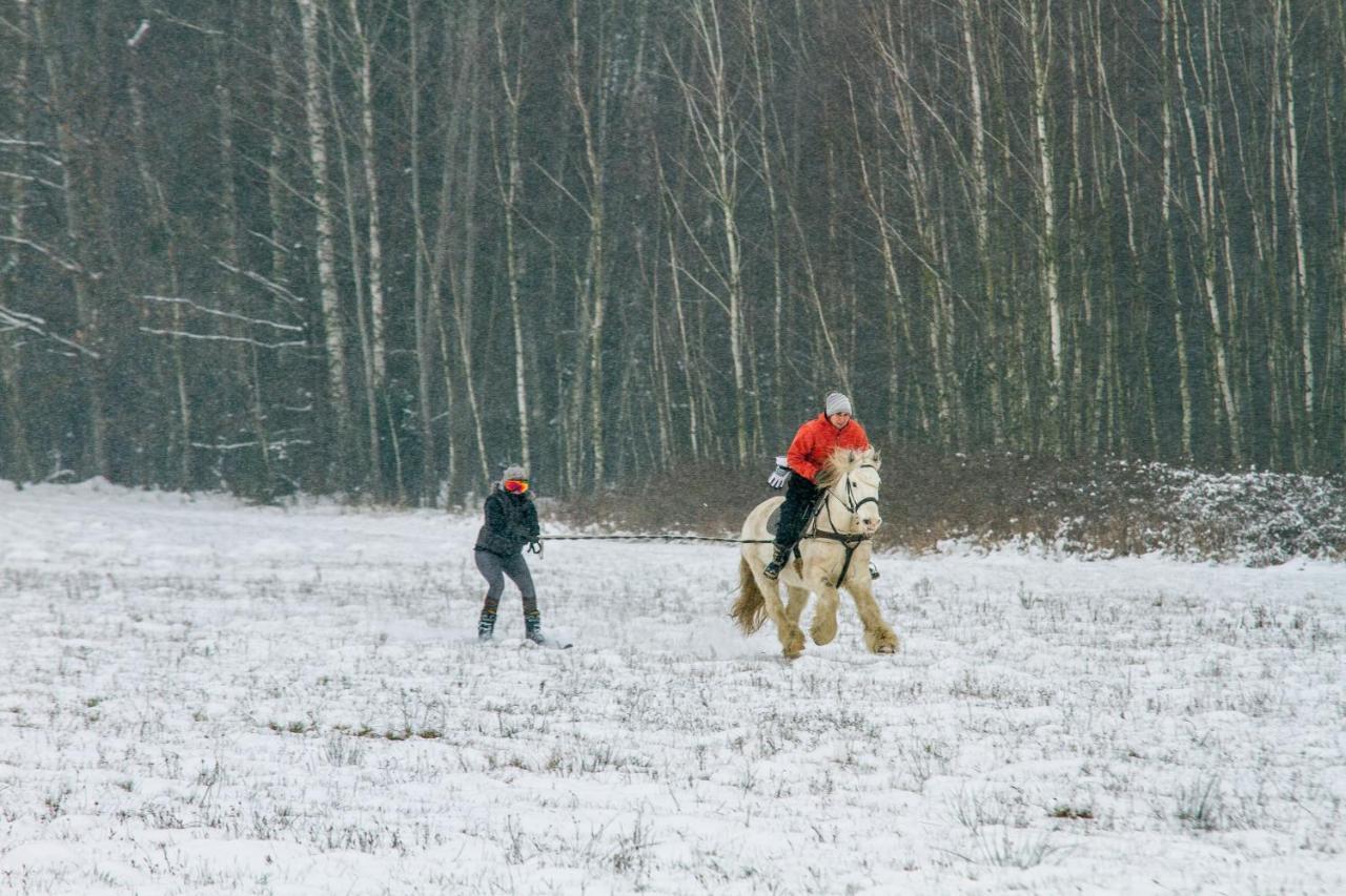 Kolorowe Wzgorze Agroturystyka I Konie Trojanow Bagian luar foto