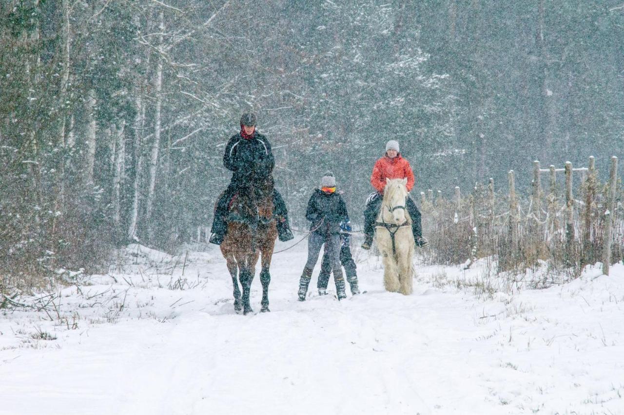 Kolorowe Wzgorze Agroturystyka I Konie Trojanow Bagian luar foto