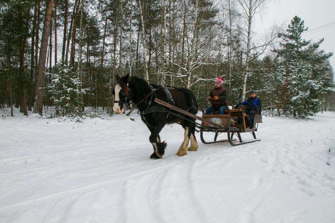 Kolorowe Wzgorze Agroturystyka I Konie Trojanow Bagian luar foto