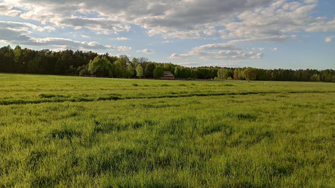 Kolorowe Wzgorze Agroturystyka I Konie Trojanow Bagian luar foto
