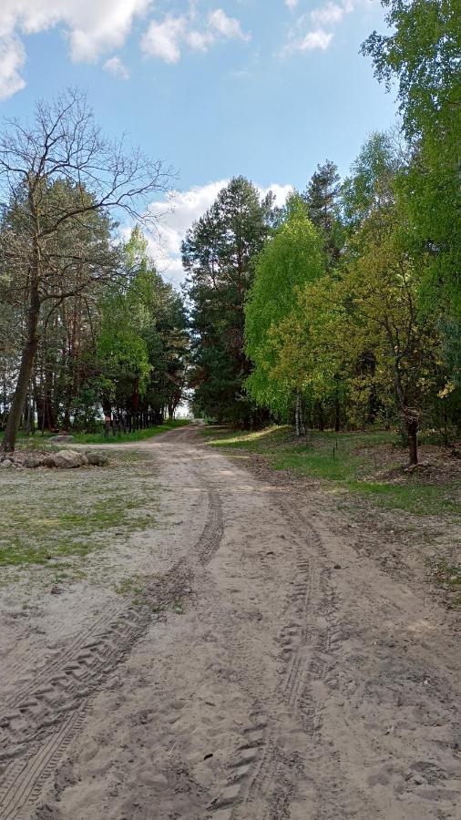 Kolorowe Wzgorze Agroturystyka I Konie Trojanow Bagian luar foto